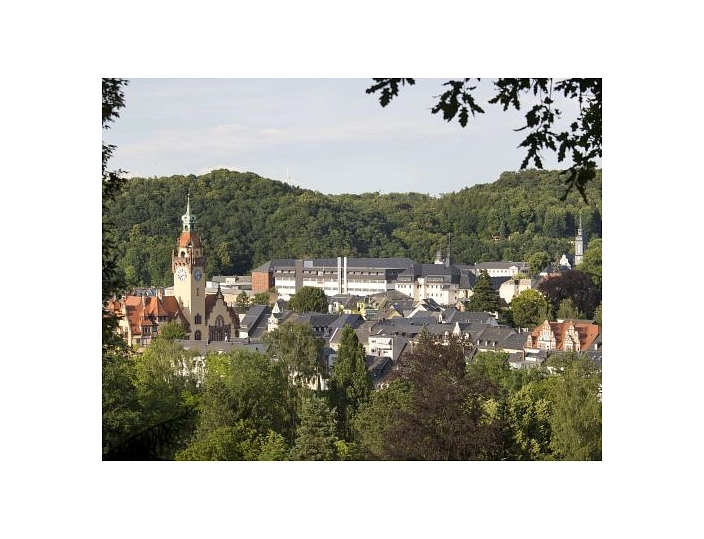 Das Bild zeigt die Stadt Waldheim aus erhöhter Perspektive.
Links im Bild steht das Rathaus von Waldheim. Es ist ein historisches Gebäude mit gelber Fassade, rotem Dach und einem hohen Turm mit Uhr und grüner Turmspitze.
In der Mitte und im Hintergrund sieht man die Gebäude der JVA Waldheim. Die Gebäude sind größer und moderner gestaltet. Sie haben helle Fassaden und flache Dächer.

Zwischen Rathaus und JVA liegen viele Wohnhäuser mit grauen und roten Dächern. Die Stadt ist von vielen Bäumen umgeben.

Im Hintergrund erkennt man bewaldete Hügel. Der Himmel ist hell und leicht bewölkt.
Das Bild zeigt Waldheim als grüne Stadt mit historischen und modernen Gebäuden.