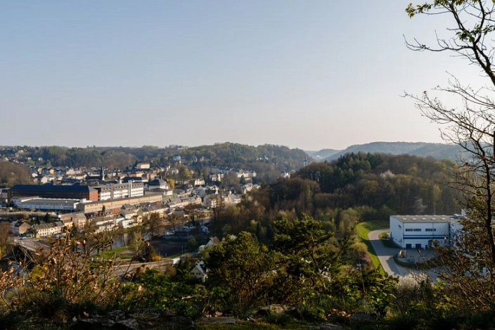 Das Bild zeigt einen weiten Blick über die Stadt Waldheim aus erhöhter Perspektive. Im Vordergrund rahmen Sträucher, Bäume und ein felsiger Boden die Ansicht ein.
Links im Bild liegt die Innestadt mit dicht stehenden Wohn- und Gewerbegebäuden. Dort ist auch die Justizvollzugsanstalt zu sehen, erkennbar an ihrem größeren, geschlossenen Gebäudekomplex.
Rechts im Bild steht auf einer Freifläche ein modernes, helles Gebäude – das ehemalige Gebäude von Florena. Es ist von Grünflächen und Bäumen umgeben.
Im Hintergrund ziehen sich bewaldete Hügel entlang, darüber ein klarer, heller Himmel. Das Bild vermittelt einen Überblick über Waldheim und seine Lage in einer hügeligen Landschaft.