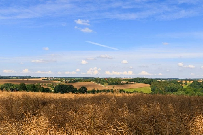 Felder in Waldheim