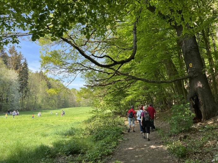 Wanderweg im Sauergraus am Waldrand auf der linken Seite spielen Kinder im Gras
