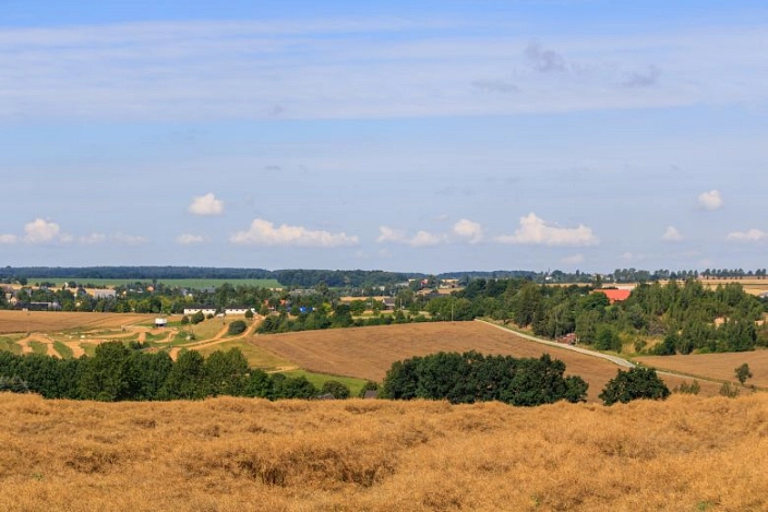 Weite Landschaft im Umland der Stadt Waldheim. Im Vordergrund ist ein goldbraunes Feld zu sehen, das sich sanft über eine Anhöhe erstreckt. Dahinter folgen weitere Felder in unterschiedlichen Braun- und Grüntönen, unterbrochen von Baumreihen und kleinen Waldstücken.
Zwischen den Feldern liegen vereinzelt Häuser und landwirtschaftliche Gebäude. Eine schmale Straße führt durch die Landschaft. Am Horizont ist eine geschlossene Baumlinie zu erkennen. Darüber spannt sich ein heller, leicht bewölkter Himmel mit einzelnen kleinen, weißen Wolken.
Die Szene vermittelt eine ruhige, ländliche Atmosphäre mit weitem Blick über die Umgebung der Stadt Waldheim.