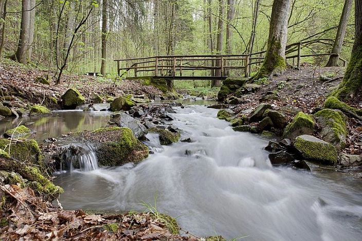 Waldweg mit Bach und Brücke
