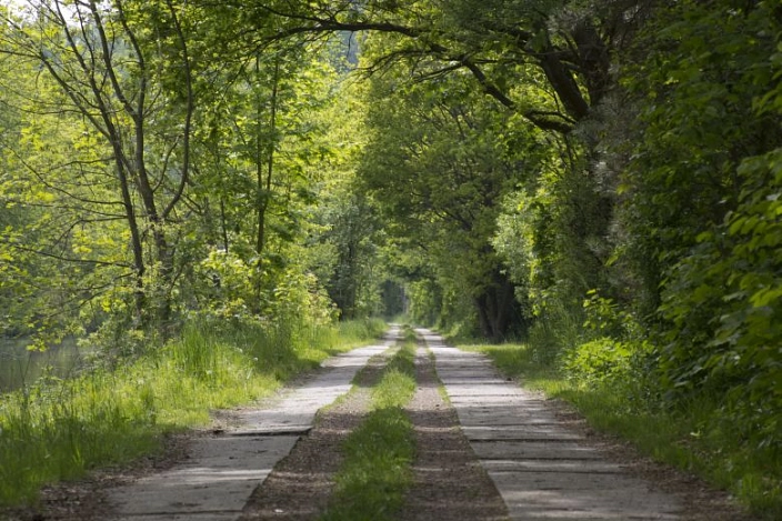 Wanderweg am Forschungsinstitut.