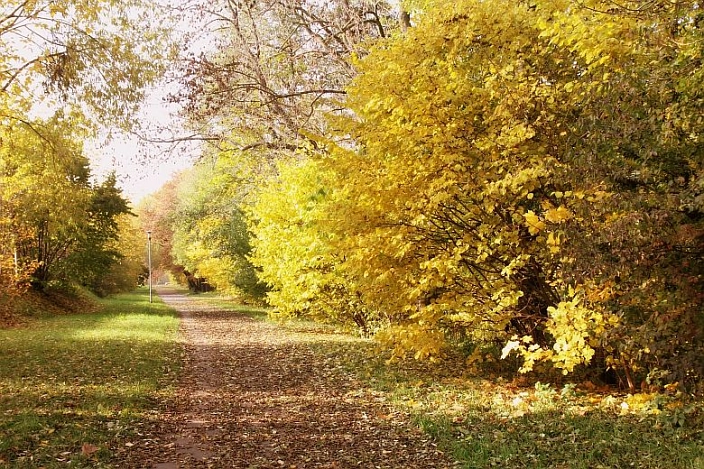 Wanderweg Kirschallee