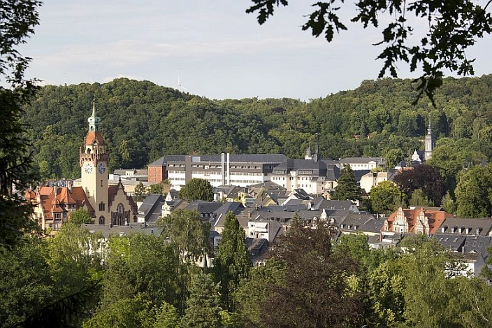 Blick auf das Rathaus und den Obermarkt aus der Ferne mit der JVA Waldheim im Hintergrund.