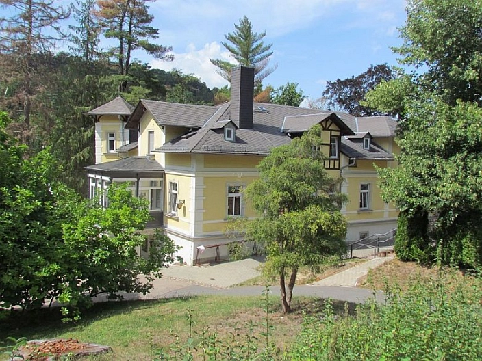 Gelbe Villa Sicht von hinten umgeben von Bäumen und Wiese